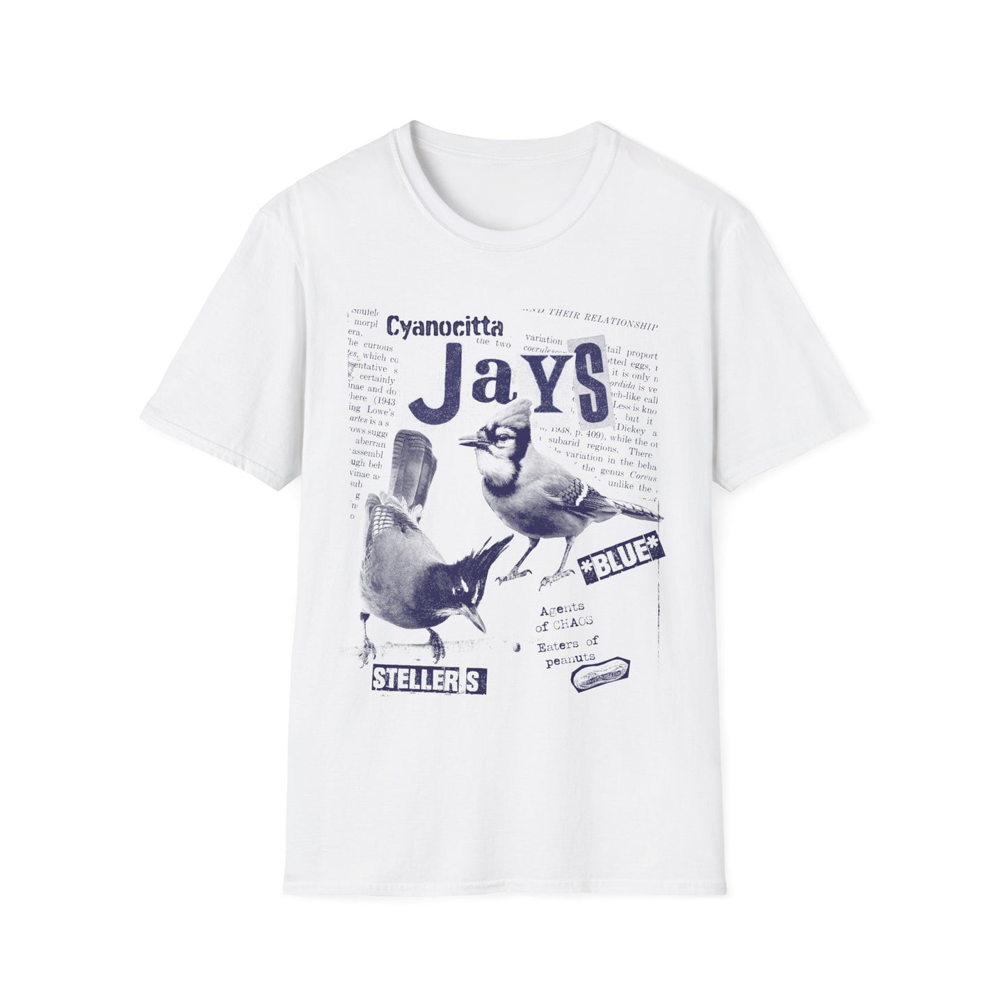 Steller's Jay and Blue Jay: Agents of Chaos