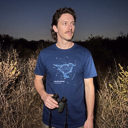 The Big Dipper Constellation