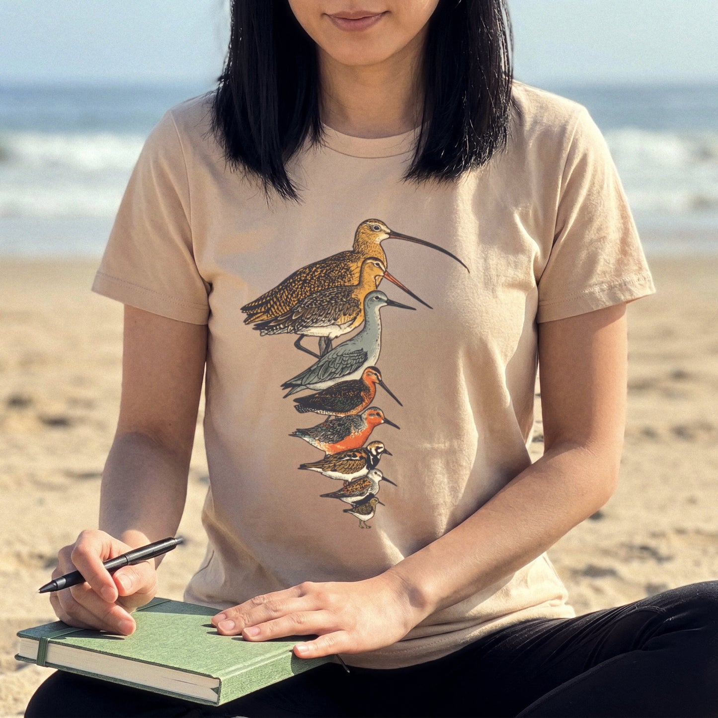 Sandpipers of America