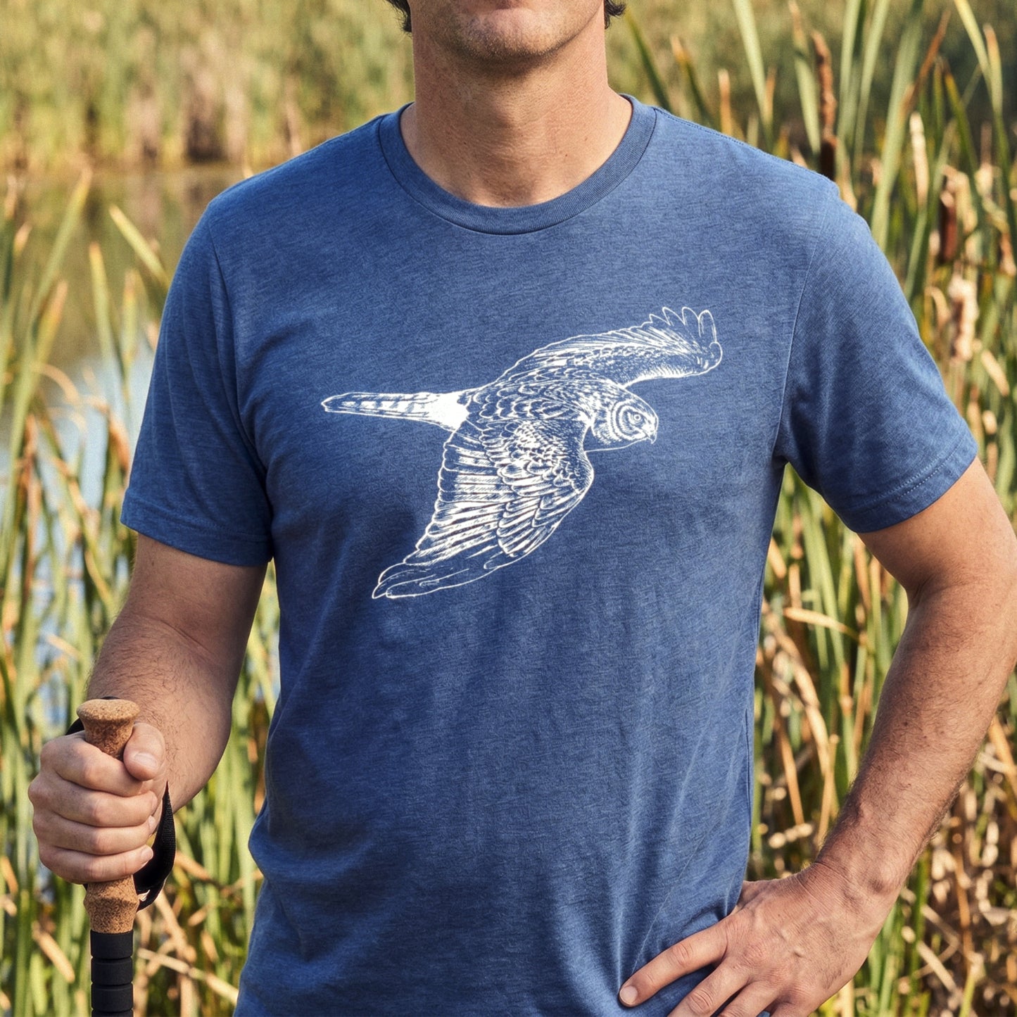 Northern Harrier: The Gray Ghost