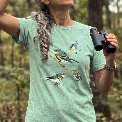 Yellow-rumped Warbler