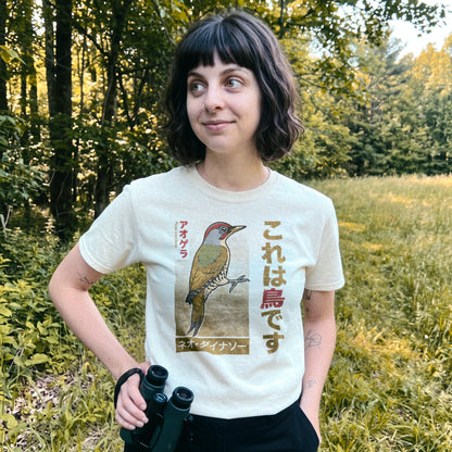 Japanese Green Woodpecker