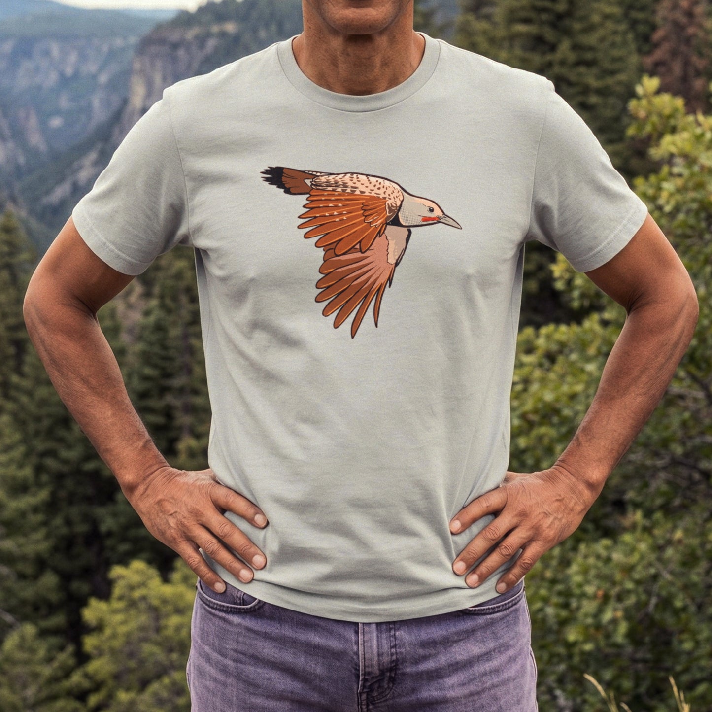 Northern Flicker